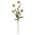 Pompom Pick- Tan
