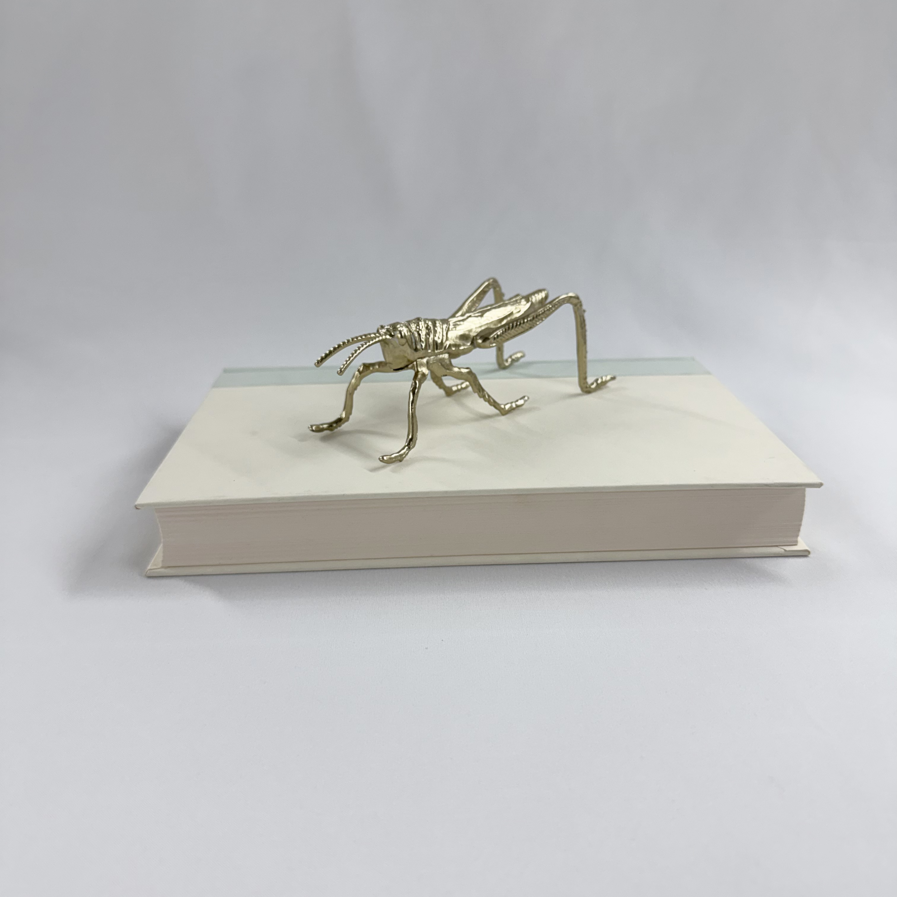 Grasshopper- Gold Finish