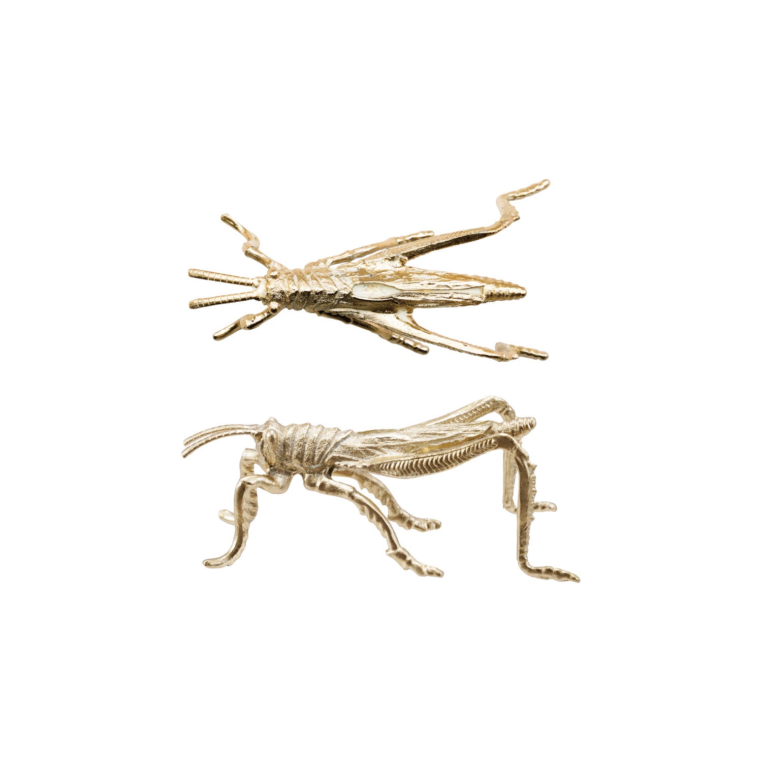Grasshopper- Gold Finish